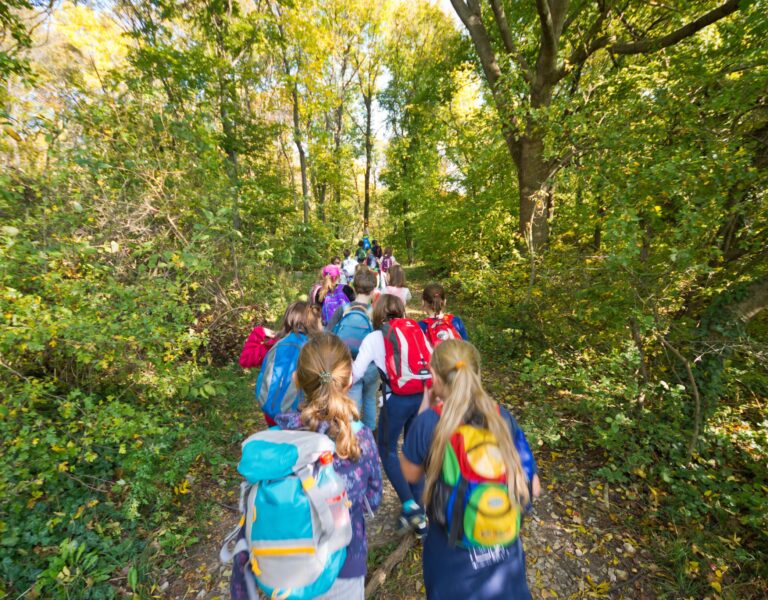 barn med ryggsäckar går i skogen
