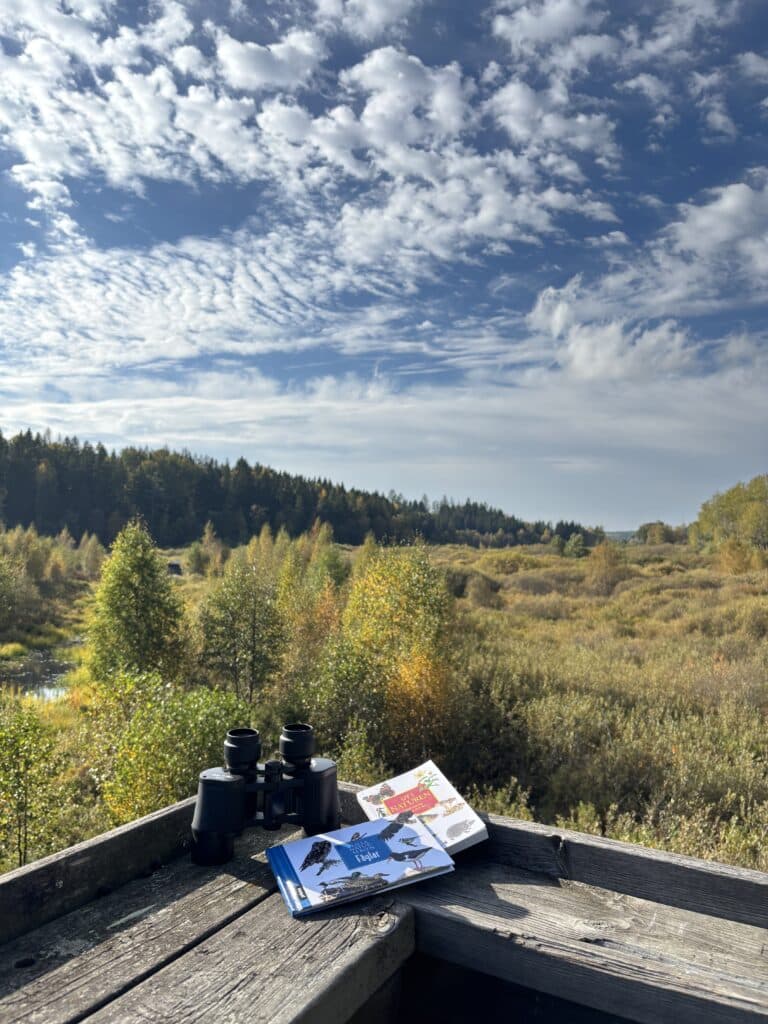 Utsikten från fågeltornet.