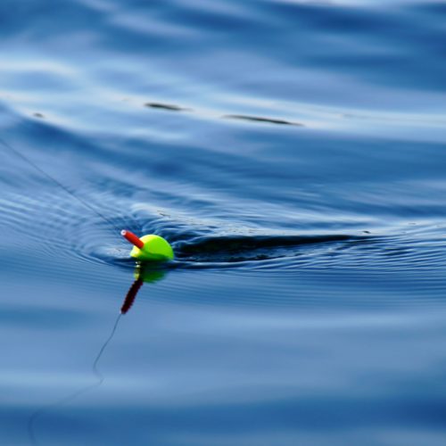 Grönt och rött fiskeflöte i vattnet