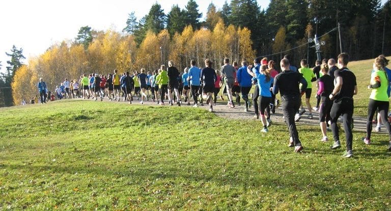grupp med löpare springer i höstskog