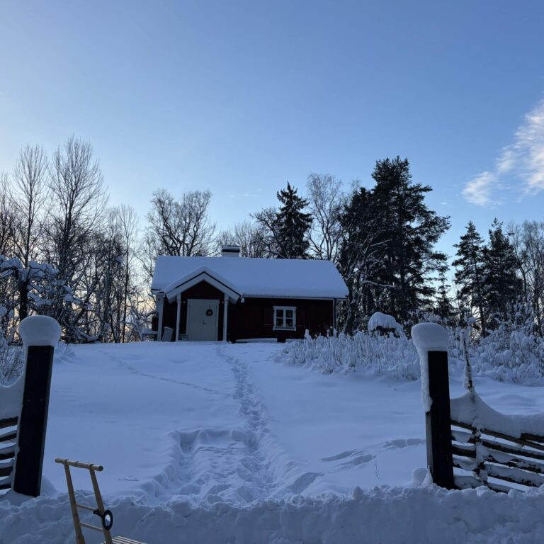 Björknästorp i vinterskrud.