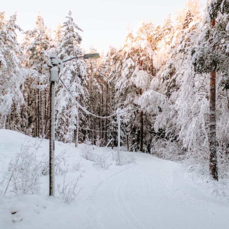 Längdsskidspår Stockholm