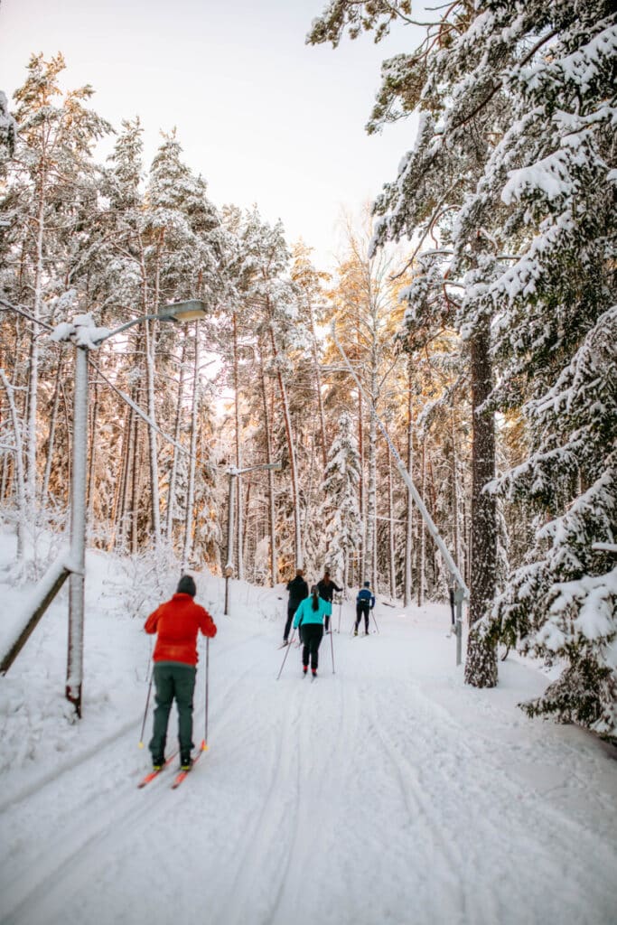 Längdskidor i Stockholm 