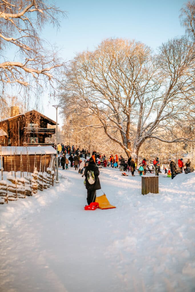 Lida friluftsgård pulkabacke, stockholm bästa pulkabacke 