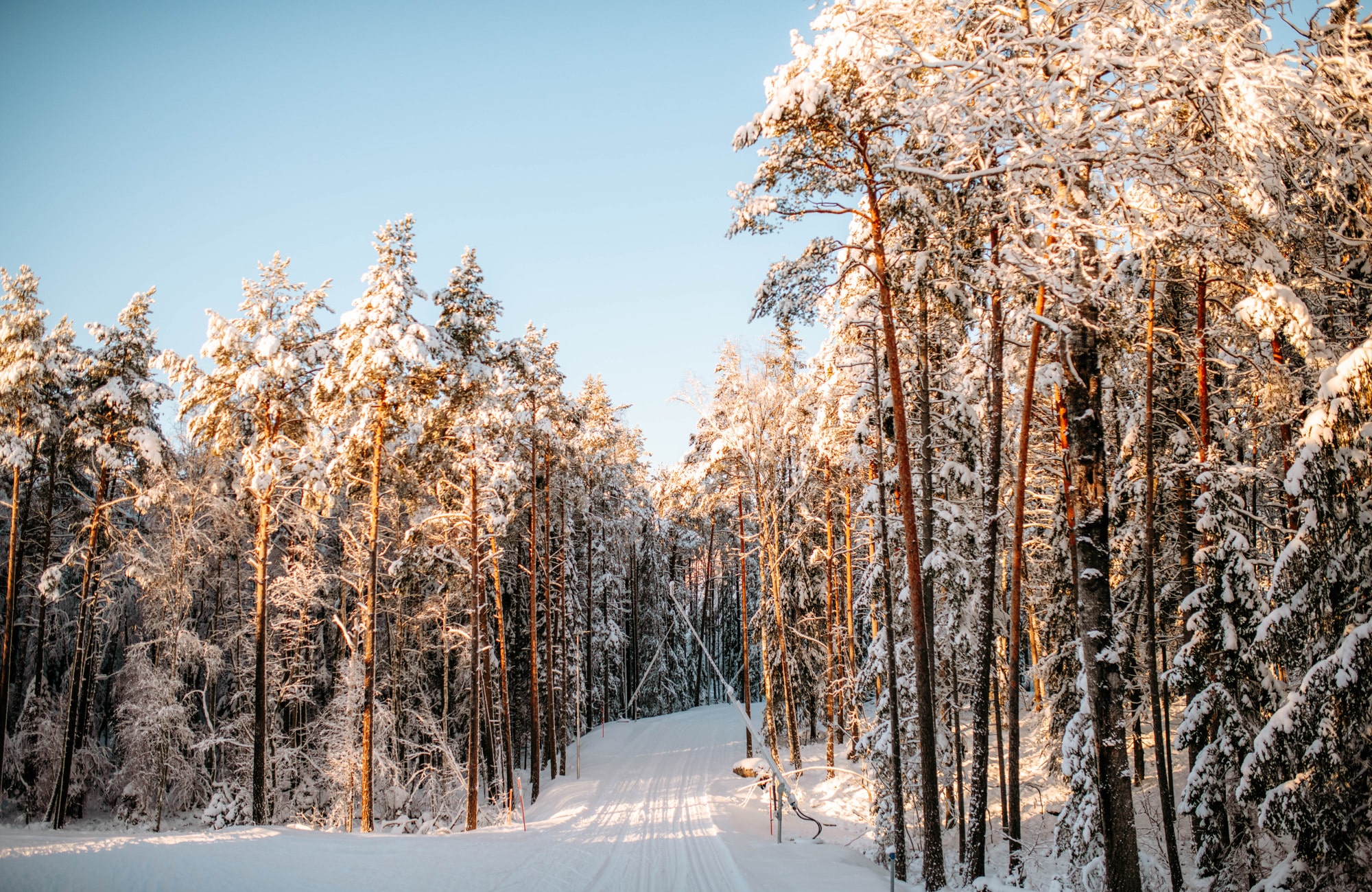 skidspår Stockholm, konstsnöspår, lida skidspår 