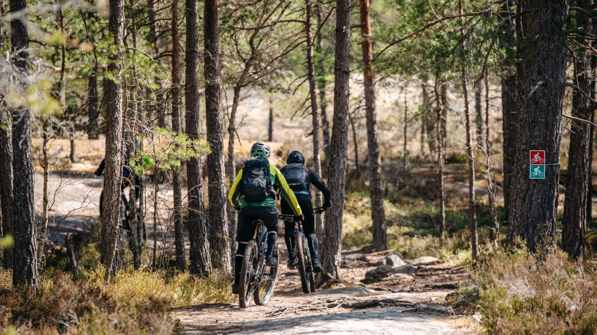 Cykla MTB i vår