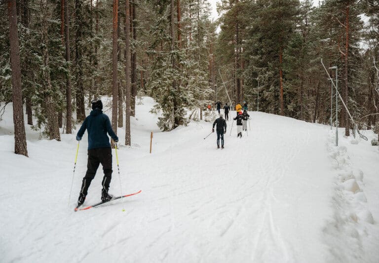 Människor åker i längdskidspår i vinterandskap.