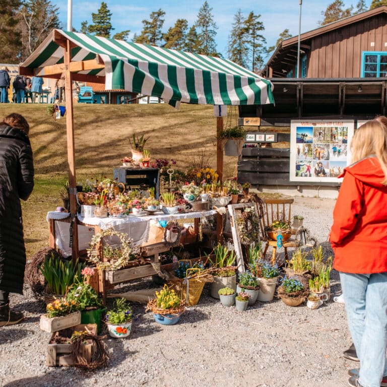 En grupp människor som står runt ett bord fyllt med växter.