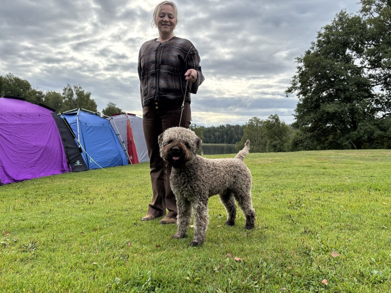En kvinna håller sin hund i koppel på en gräsmatta framför tält. Hunden tittar in i kameran.